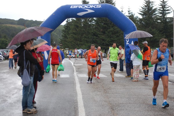 La Speata (C.E., T.S., T.O) (03/08/2014) 00022