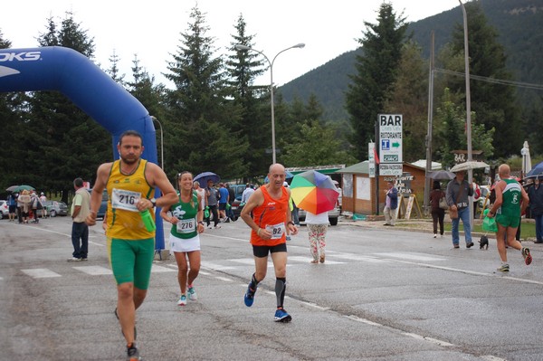La Speata (C.E., T.S., T.O) (03/08/2014) 00054