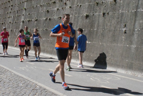 Vivicittà Roma - Vivifiume (01/05/2014) 00005