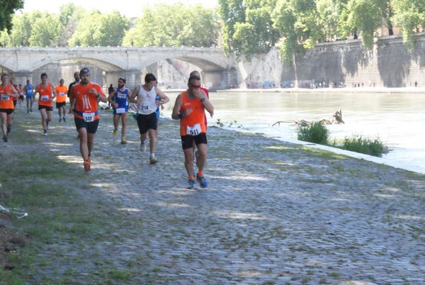 Vivicittà Roma - Vivifiume (01/05/2014) 00040