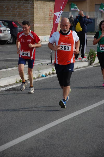 Corriamo al Collatino (23/02/2014) 00014