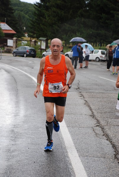 La Speata (C.E., T.S., T.O) (03/08/2014) 00049