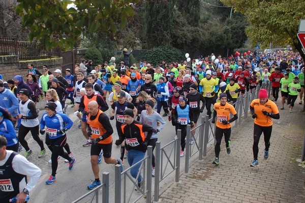 Maratonina dei Tre Comuni (26/01/2014) 044