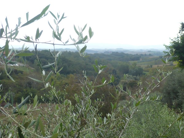 Ecomaratona del Chianti  (19/10/2014) 011
