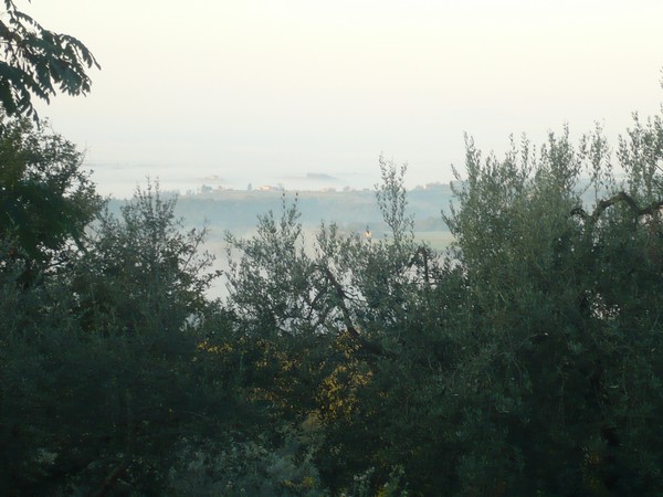 Ecomaratona del Chianti  (19/10/2014) 016