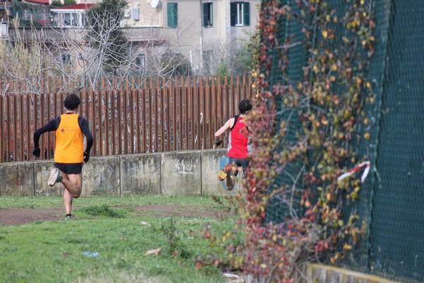 Corri per il Parco Alessandrino (26/01/2014) 042