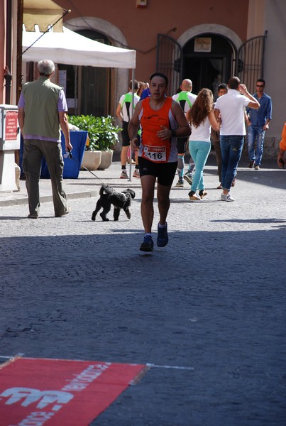 Gara della Solidarietà di Tagliacozzo (C.E.) (07/09/2014) 00190
