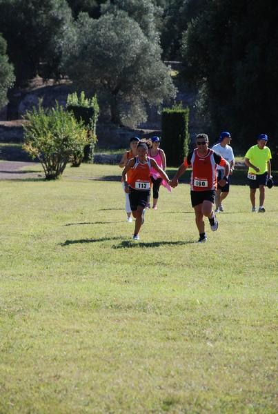 Corsa delle 3 Ville (C.E.) (14/09/2014) 00053