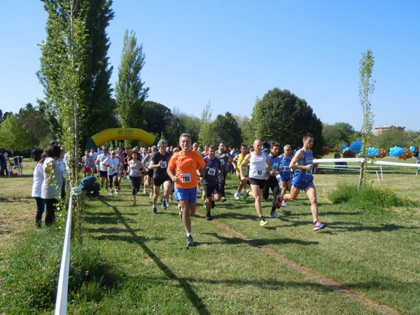 Maratona a Km 0 (21/04/2014) 00004