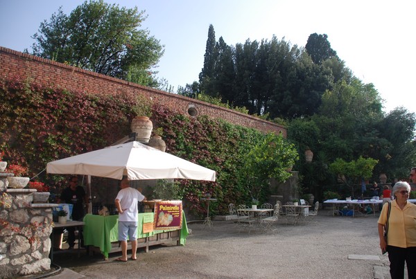 Corri per San Nicola (20/09/2014) 00002