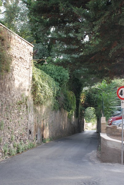 Corri per San Nicola (20/09/2014) 00008