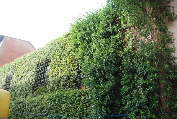 Corri per San Nicola (20/09/2014) 00023
