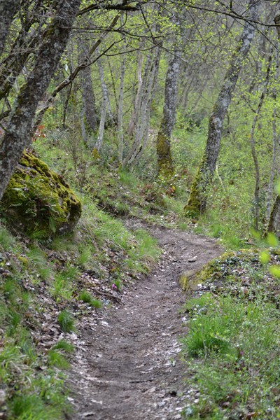 Monti Cimini Run  (Crit. Trail) (13/04/2014) 051