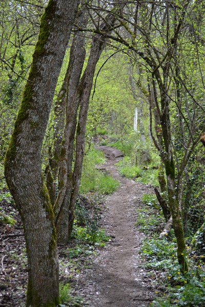 Monti Cimini Run  (Crit. Trail) (13/04/2014) 052