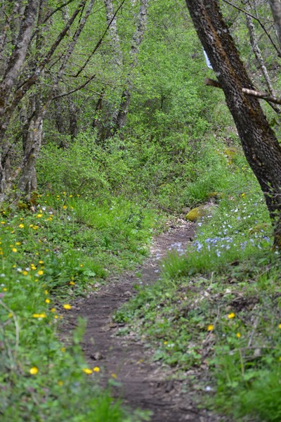 Monti Cimini Run  (Crit. Trail) (13/04/2014) 074