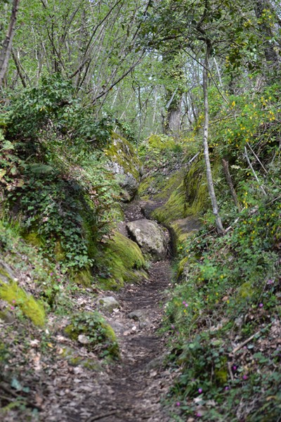 Monti Cimini Run  (Crit. Trail) (13/04/2014) 077
