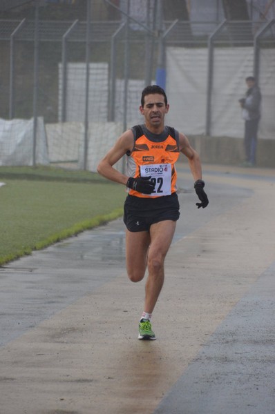 La Natalina (28/12/2014) 051