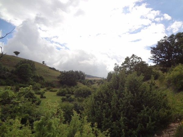 Coscerno Eco Trail (12/07/2014) 00011