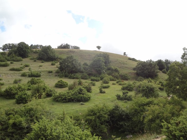 Coscerno Eco Trail (12/07/2014) 00012