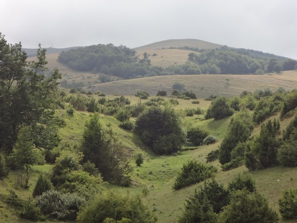 Coscerno Eco Trail (12/07/2014) 00013