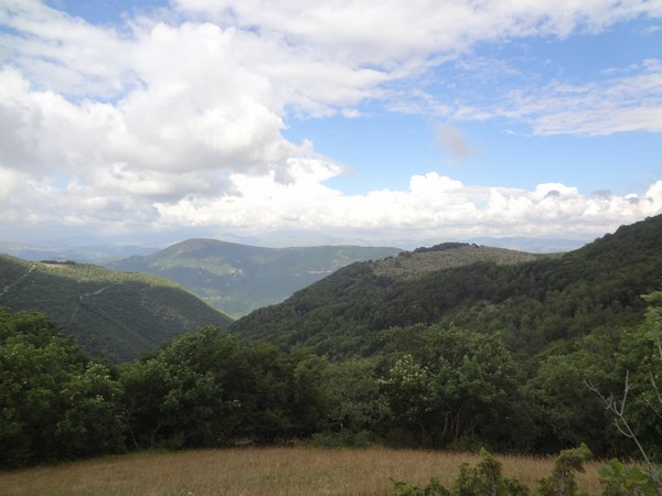 Coscerno Eco Trail (12/07/2014) 00014