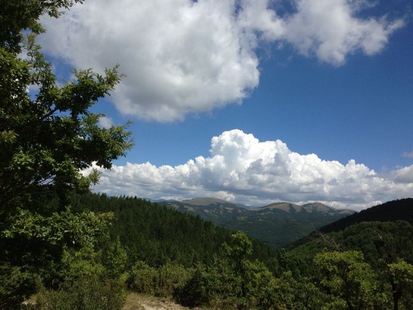 Coscerno Eco Trail (12/07/2014) 00022