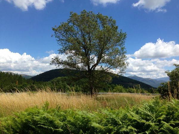 Coscerno Eco Trail (12/07/2014) 00023