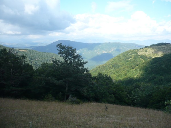 Coscerno Eco Trail (12/07/2014) 00041
