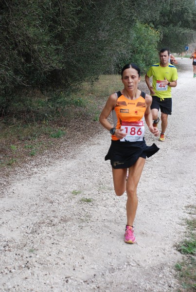 Sulle Orme di Adriano (12/10/2014) 00014