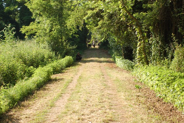 Campestre Oasi di Ninfa (24/05/2014) 002