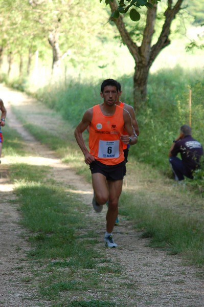 Campestre Oasi di Ninfa (24/05/2014) 010
