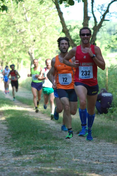 Campestre Oasi di Ninfa (24/05/2014) 016