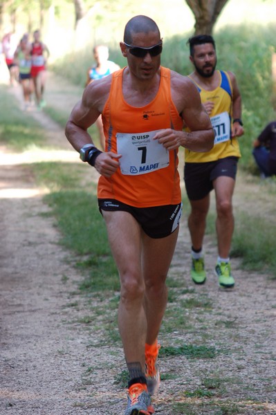 Campestre Oasi di Ninfa (24/05/2014) 019