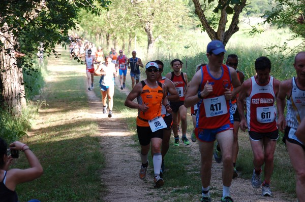 Campestre Oasi di Ninfa (24/05/2014) 021