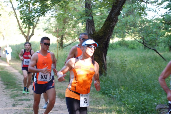 Campestre Oasi di Ninfa (24/05/2014) 023