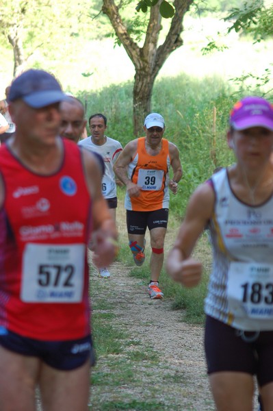 Campestre Oasi di Ninfa (24/05/2014) 047