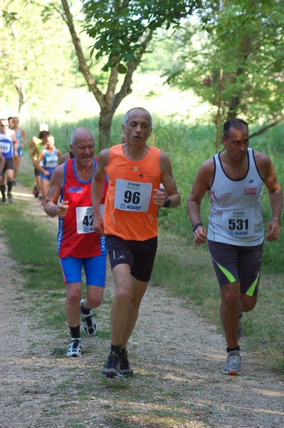Campestre Oasi di Ninfa (24/05/2014) 051