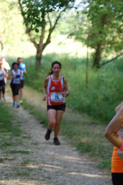 Campestre Oasi di Ninfa (24/05/2014) 072