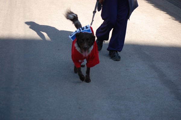 Walk of Life non competitiva (08/06/2014) 00092