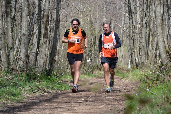 Trail della Capitale (Crit. Trail) (30/03/2014) 100