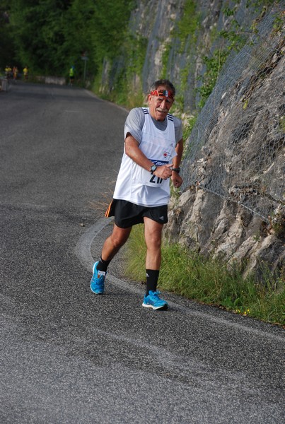 La Jennesina (12/07/2014) 00099
