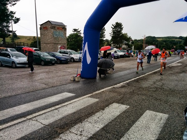 La Speata (C.E., T.S., T.O) (03/08/2014) 00025