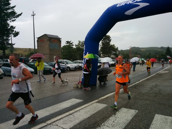 La Speata (C.E., T.S., T.O) (03/08/2014) 00044