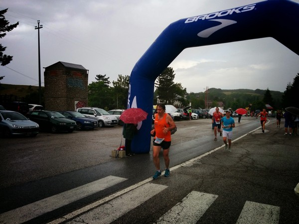 La Speata (C.E., T.S., T.O) (03/08/2014) 00053