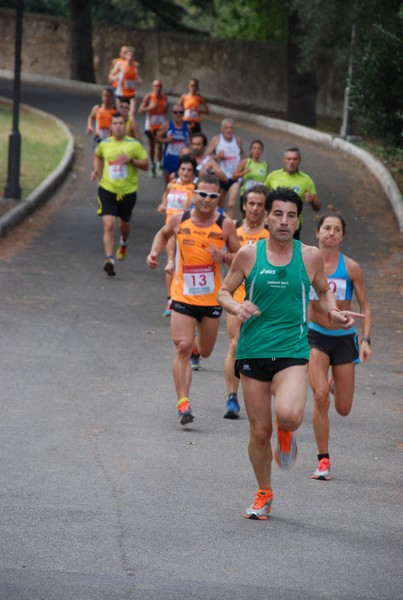 Sulle Orme di Adriano (12/10/2014) 00039