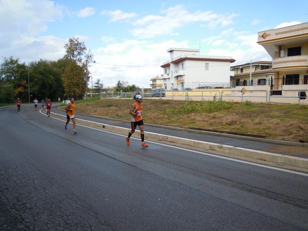 Half Marathon delle Terre Pontine (16/11/2014) 00033