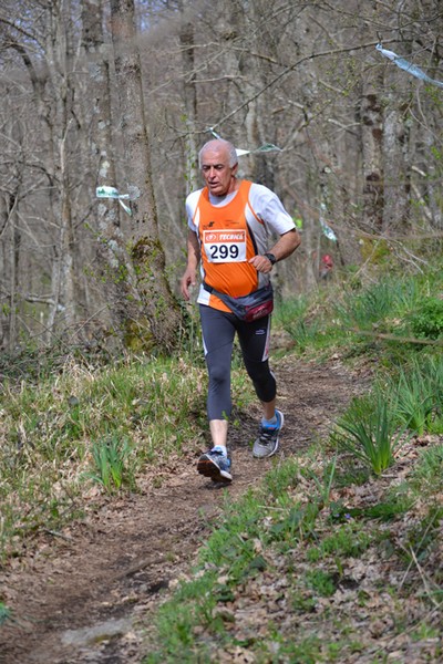 Trail della Capitale (Crit. Trail) (30/03/2014) 016