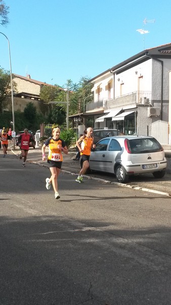 Half Marathon delle Terre Pontine (16/11/2014) 00006