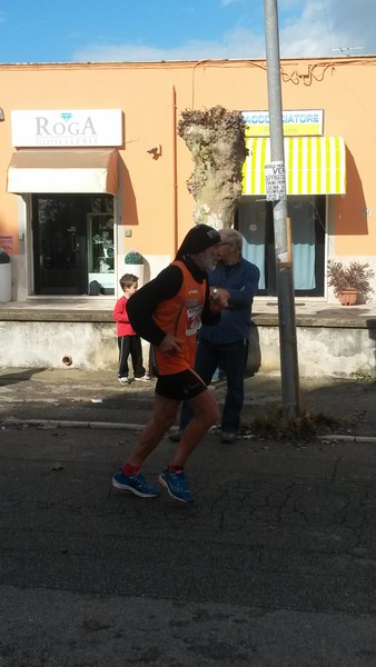 Half Marathon delle Terre Pontine (16/11/2014) 00008