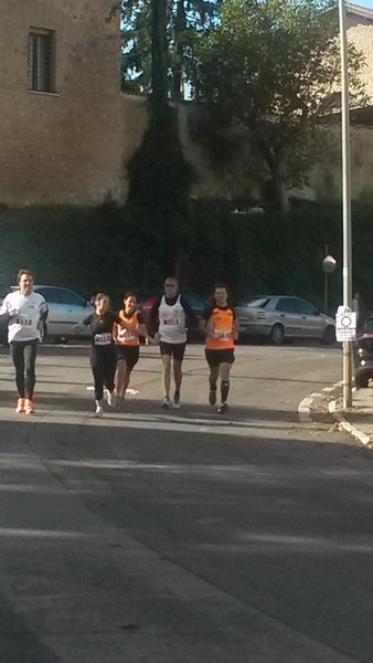 Half Marathon delle Terre Pontine (16/11/2014) 00012